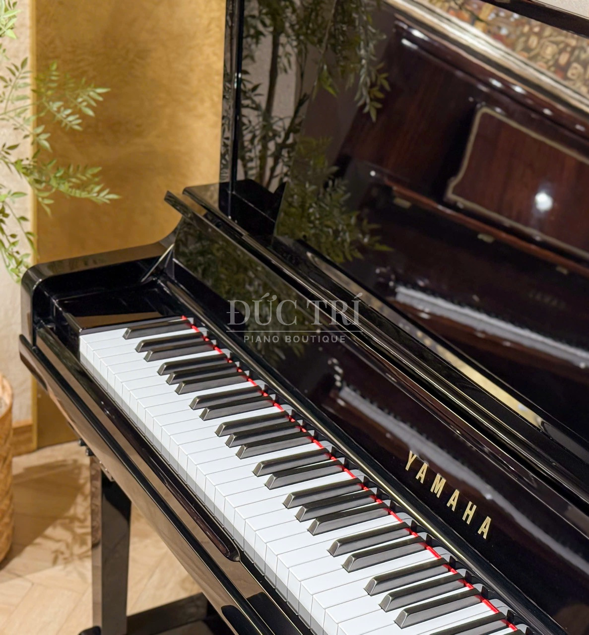 Yamaha Ux30BL 6 Đàn Piano Yamaha Ux30Bl Đức Trí Piano Boutique 5