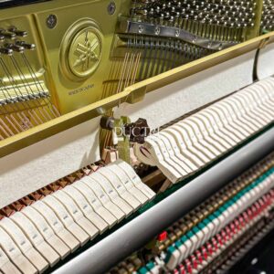 Đàn Piano yamaha u3 pe 2024 búa đàn