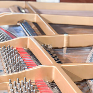 Đàn Grand Piano Kawai GS50 Giá Rẻ Tại Đức Trí Music