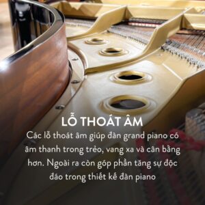 Đàn Grand Piano Yamaha C5 Cao Cấp Tại Đức Trí Music