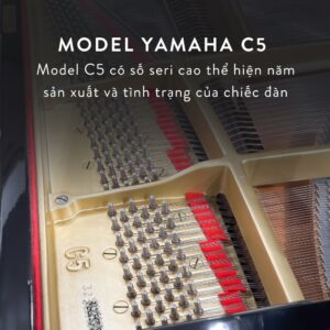 Đàn Grand Piano Yamaha C5 Cao Cấp Tại Đức Trí Music