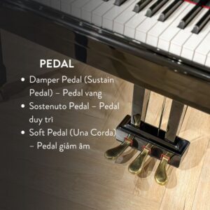 Đàn Grand Piano Yamaha C5 Cao Cấp Tại Đức Trí Music