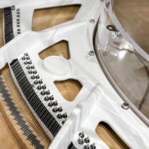 Huy Hiệu Đàn Grand Piano Schreiner & Söhne Crystal Tại Đức Trí Music