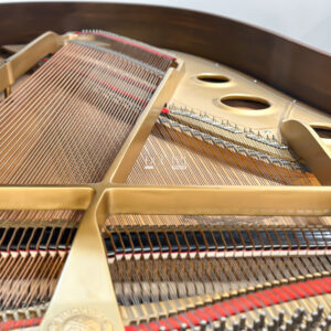 Dây Đàn Grand Piano Yamaha G3E Walnut Cao Cấp Tại Piano Đức Trí