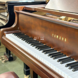 Logo Đàn Grand Piano Yamaha G3E Walnut Cao Cấp Tại Piano Đức Trí