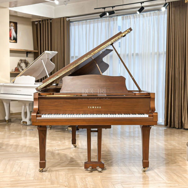 Grand Piano Yamaha G3E Walnut cao cấp tại Đức Trí Music