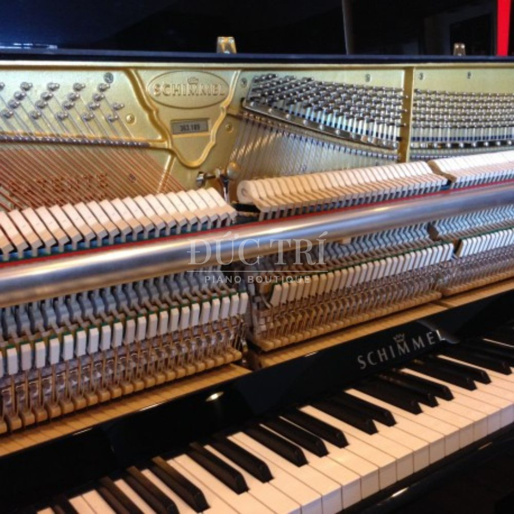 Ban phim dan 1 C116 Modern Cubus Bàn phím đàn