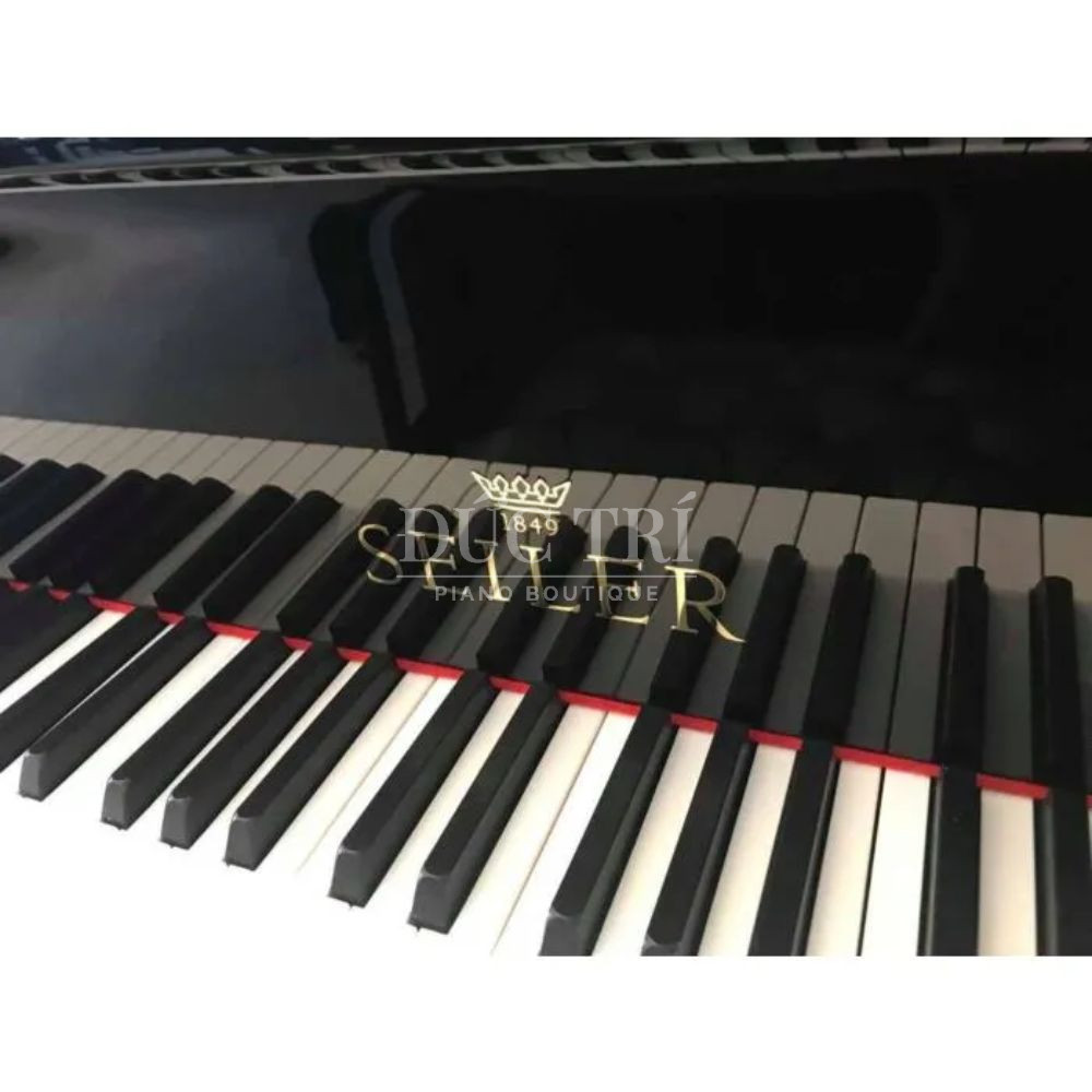 Ban phim dan SE-208 PR Bàn phím đàn
