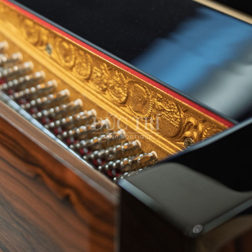 Ben trong dan Seiler SE 126 Attraction SE-126 Attraction Bên trong đàn Seiler SE-126 Attraction