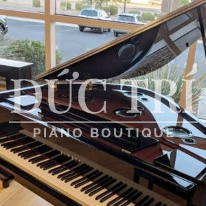 Chất Liệu của Yamaha AvantGrand N3