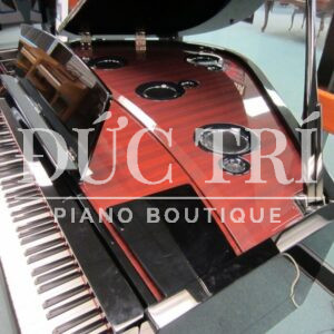 Công nghệ của AvantGrand N3