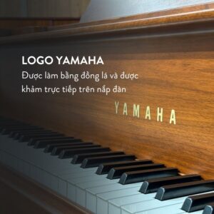 Grand Piano Yamaha G5E Walnut