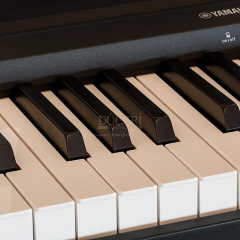 Logo và bàn phím chiếc đàn Yamaha YDP163