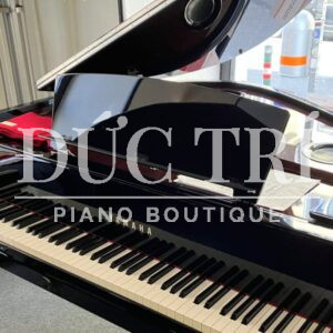 Mặt trước Yamaha AvantGrand N3