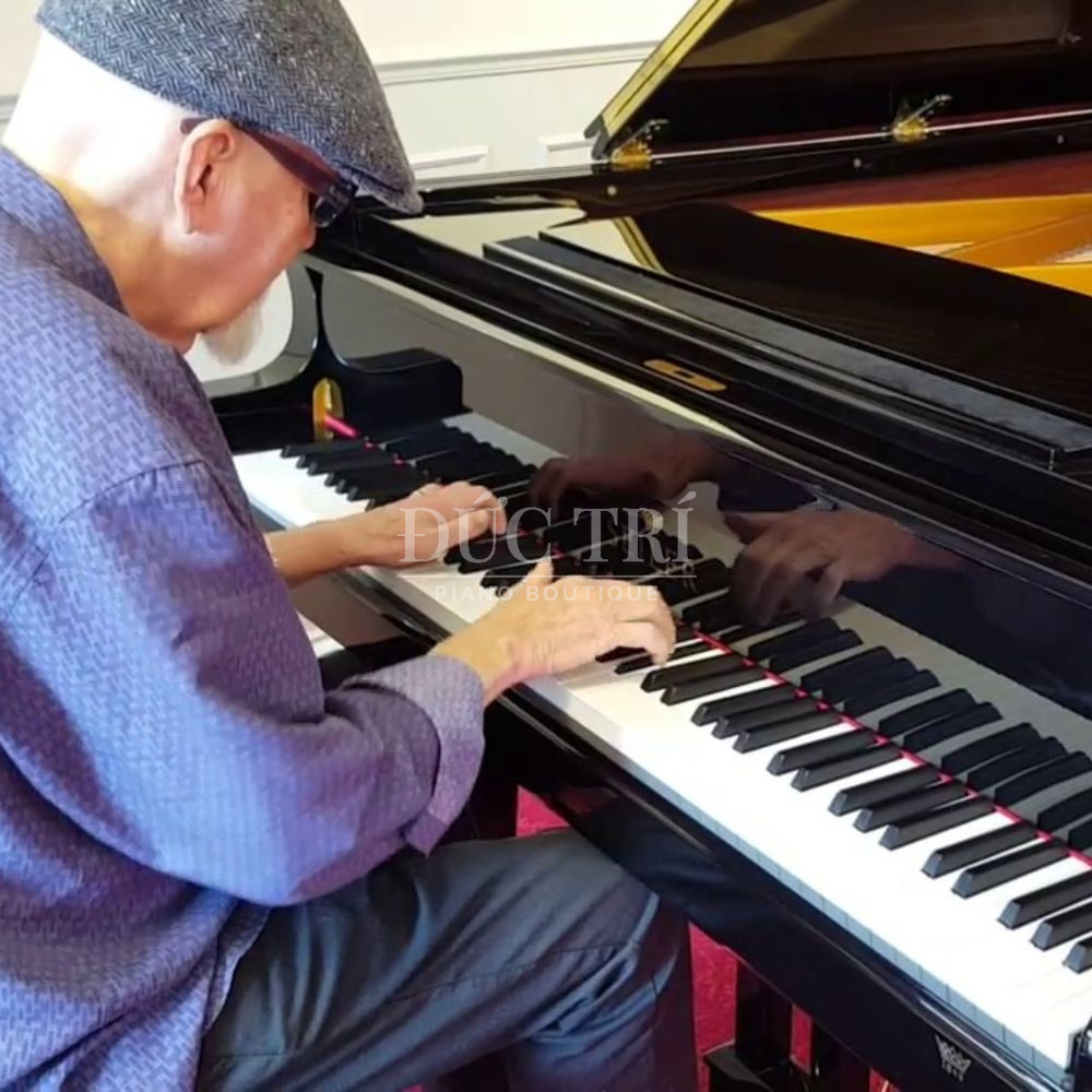 Phu hop cac phong cach am nhac SE-208 PR Phù hợp các phong cách âm nhạc