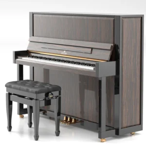 Đàn piano SE126_Attraction