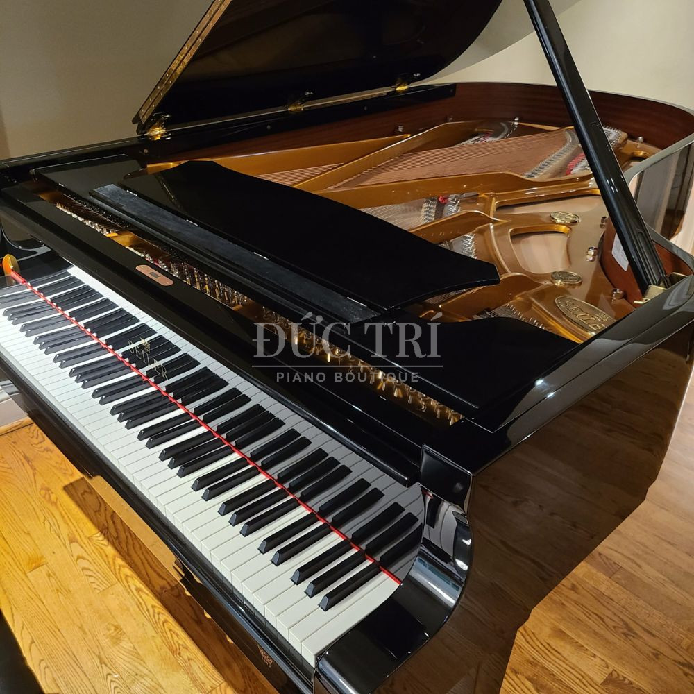 Thiet ke dan Seiler SE 208 PRB SE-208 PRB Thiết kế đàn Seiler SE-208 PRB