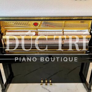 Thiết kế khung đàn đúc bằng gan vững chãi