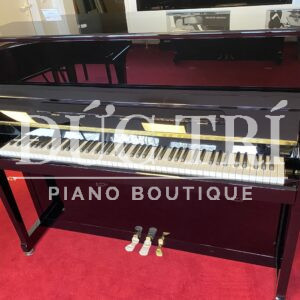 Thiết kế sang trọng và tinh tế