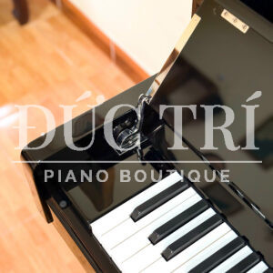 Trợ lực nắp Đàn Piano Hailun HU9P