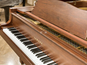 Grand Piano Yamaha G5E Walnut