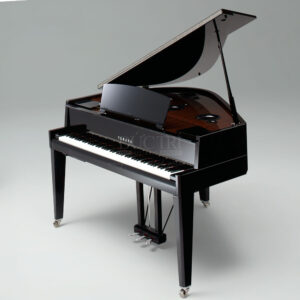 Avantgrand Hybird Yamaha N3