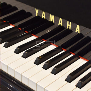 bàn phím Yamaha C3LA