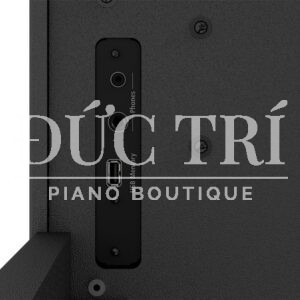 các cổng kết nối của Roland RP107