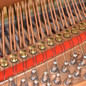 dây đàn Yamaha C3LA