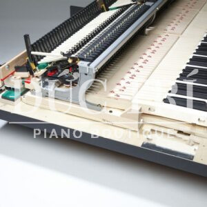 Âm thanh & Công nghệ