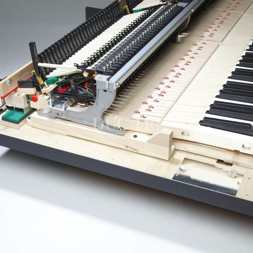 Am thanh Cong nghe Kawai NV10 Âm thanh & Công nghệ