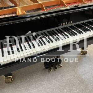 Bàn phím Ivorite độc quyền