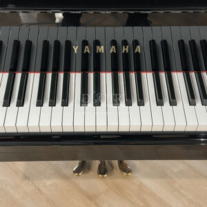 Bàn phím Yamaha C5LA