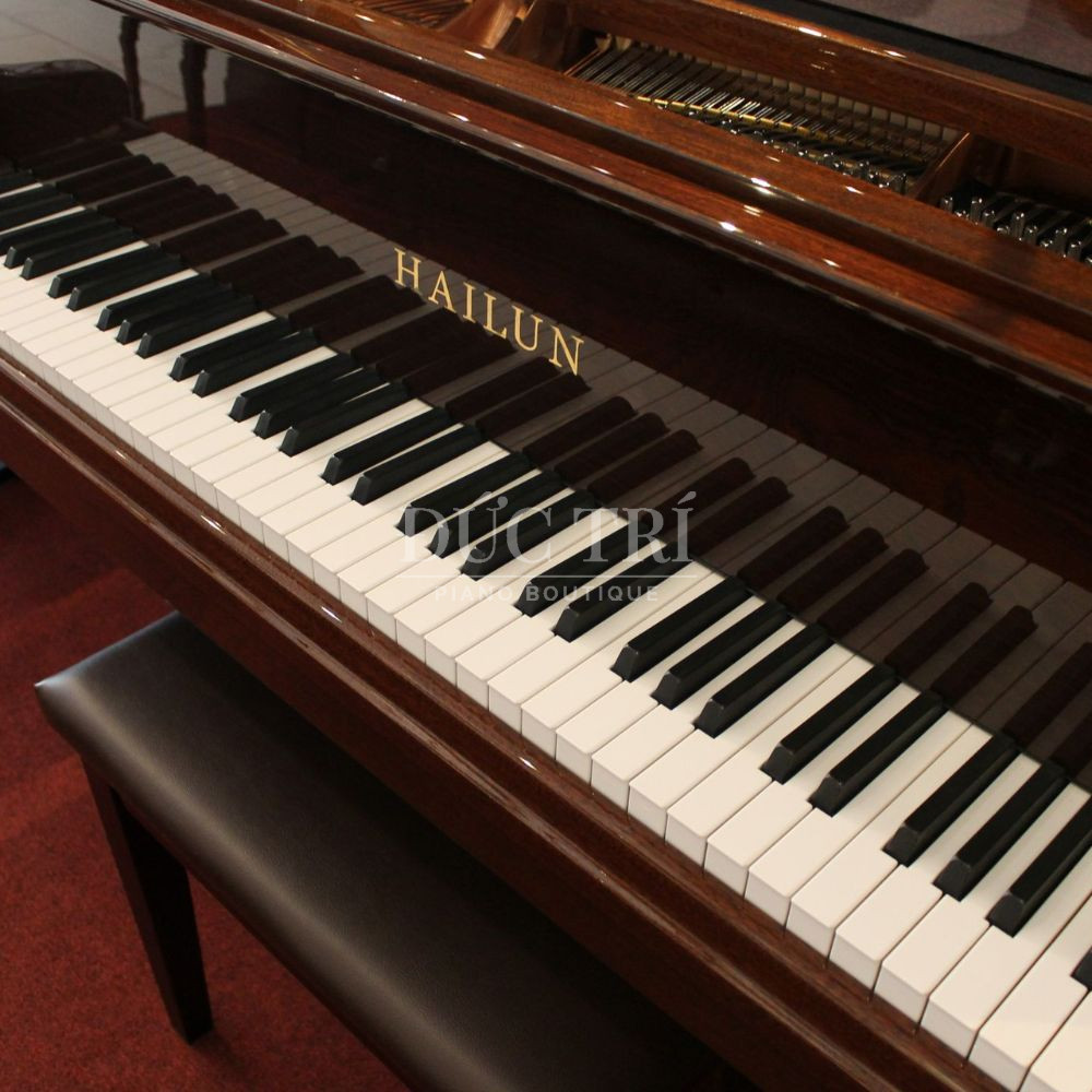 Ban phim dan can bang ky thuat so Hailun HG-151 Bàn phím đàn cân bằng kỹ thuật số