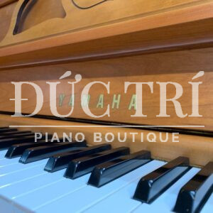 Bàn phím đàn nhạy bén