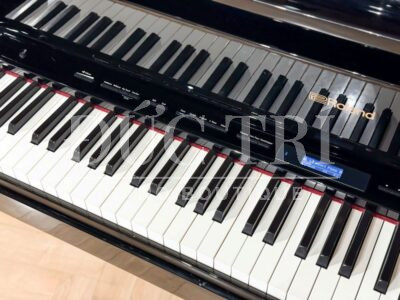 Bàn phím đàn piano Roland GP609