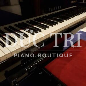 Bàn phím đàn piano Yamaha AvantGrand N2