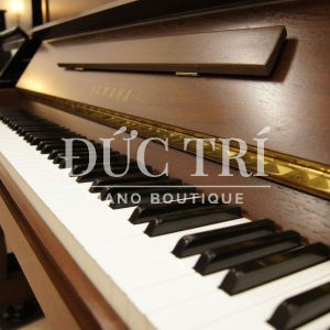 Bàn phím đàn pianoYamaha SX100RWnC