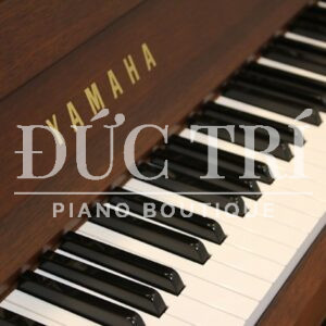 Bàn phím đàn tiêu chuẩn và phủ một lớp thấm hút