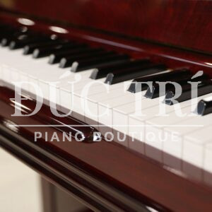 Bàn phím đàn và độ nhạy phím