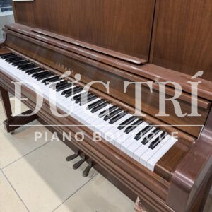 Bàn phím đàn với cảm giác ngà voi tự nhiên