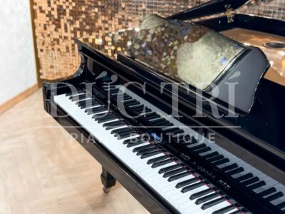 Bàn phím và logo piano Roland GP609