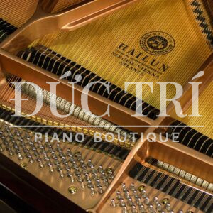Bên trong Piano Grand Hailun HG 161