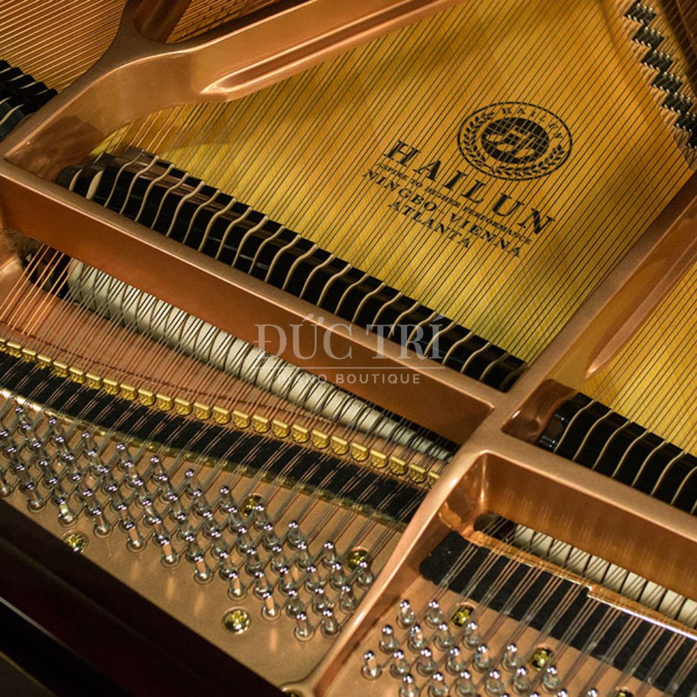 Ben trong Piano Grand Hailun HG 161 Hailun HG 161 Bên trong Piano Grand Hailun HG 161
