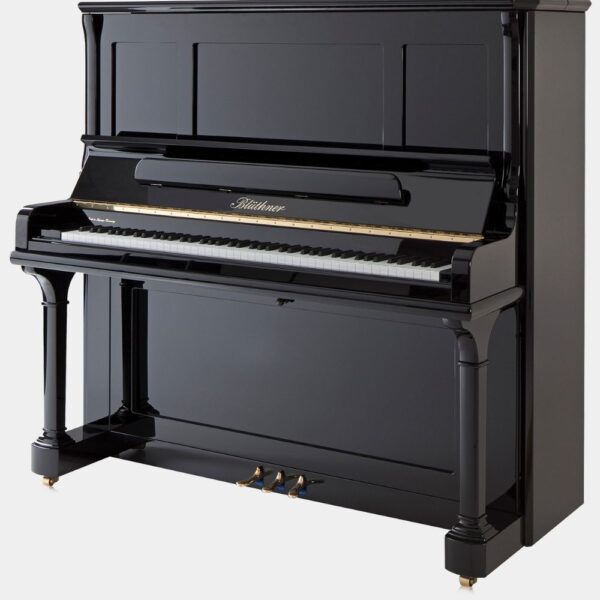 Blüthner S146