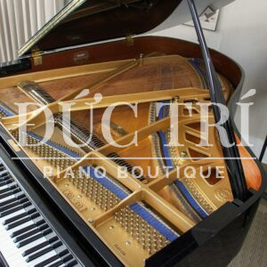 Bộ máy đàn kawai KG2D