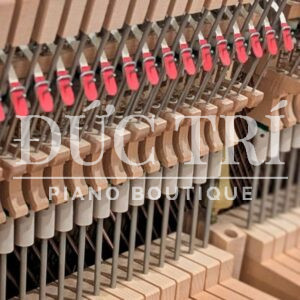 Bộ máy đàn linh hoạt