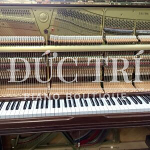 Bộ máy đàn phản xạ nhạy bén