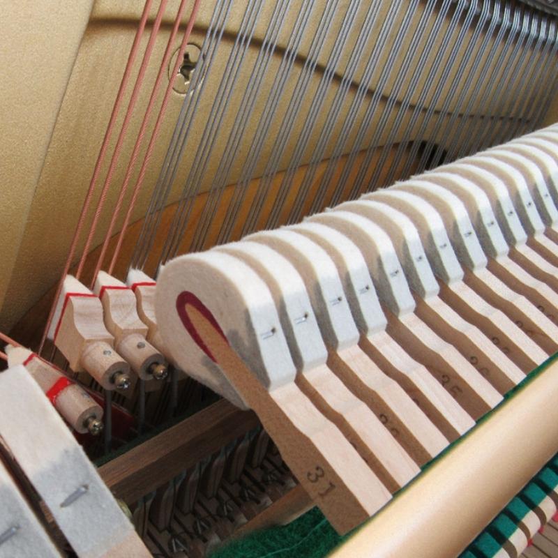 Búa đàn Yamaha Wx1AWnC