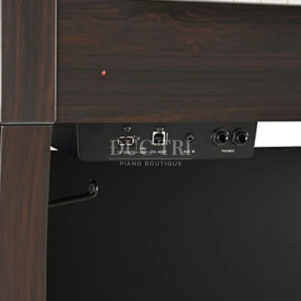 Cac cong ket noi tren dan Yamaha YDP 184 Yamaha YDP-184 Các cổng kết nối trên đàn Yamaha YDP-184